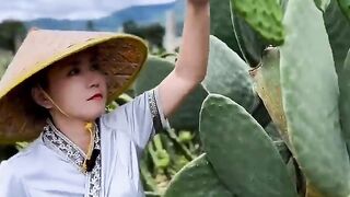 How to grow amazing testy fruit and colour custard fruit_beautiful_natural_fruit_gradn_trending_song
