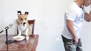 Dog Sings