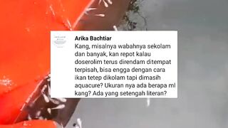 Ikan Cara mengobati ikan lele yang terkena berbagai penyakit❗Dengan Aquacure