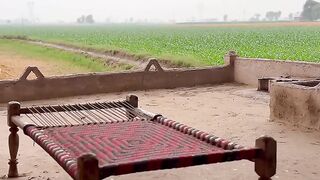 so beautiful video