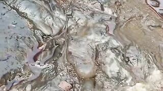 PIADA ARREPIANTE ~ QUE ABSURDO! SIMULAÇÃO (FINGIMENTO) DE MORTE