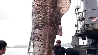 FISHING #scary #ocean #fishing