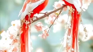 Burung cantik