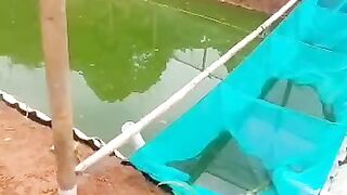 Air kolam TANAH baru cet hijau kalau treatment nya tepat