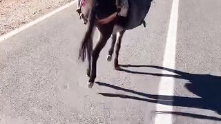 Rigolade