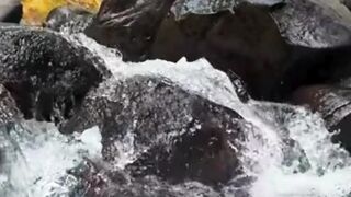 Beautiful nature