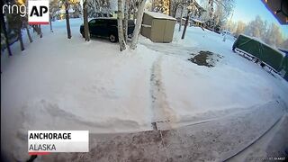 Alaska man ducks into shed to avoid bull moose.