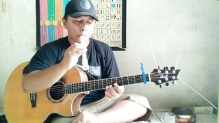 My Heart Will Go On - Celine Dion (fingerstyle cover)