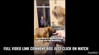 Dog_reunites_with_owner_after_5_months_in_the_wild