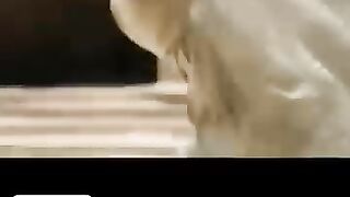 شاهد الفيلم كامل علي التليجرام https://t.me/AllMovies_2025