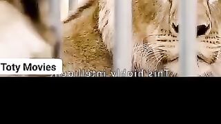 شاهد الفيلم كامل علي التليجرام https://t.me/AllMovies_2025