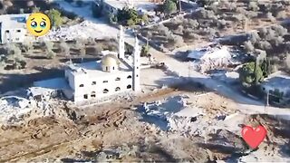 PALESTINE BERDUKA