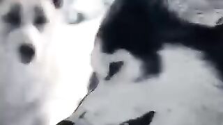 شاهد الفيلم كامل علي التليجرام https://t.me/AllMovies_2025