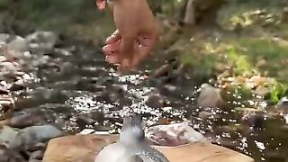 dogada-tas-uzerinde-levrek-pisirme-cooking-fish-on-the-rock-in-nature