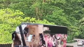 kaget melihat truk ini melintasi jalan Siinjau Lauik