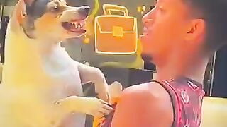 Funny dogs ????????