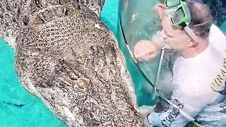 Big Monster Crocodile