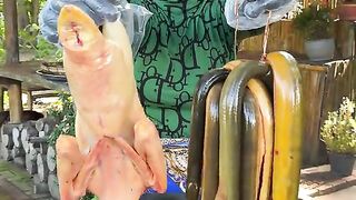 HOW TO COOK TASTY FOOD RECIPE