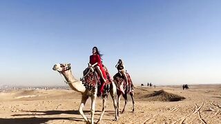 Desert Companions