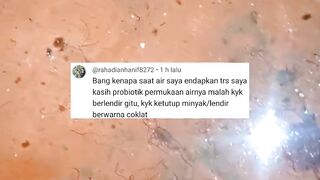 Cara buang PROTEIN MATI dipermukaan air kolam