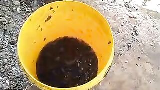 Kegiatan Sortir BIBIT LELE