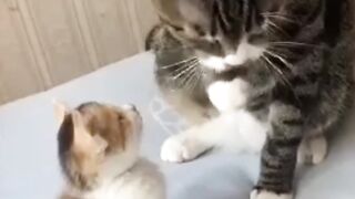 احترم من هو أكبر منك ولا تحتقر من هو أصغر منك