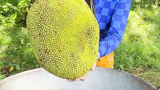 JACKFRUIT CRISPY COOK RECIPE