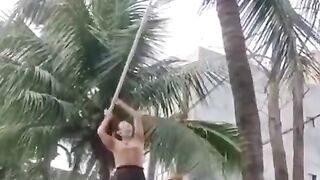 Tragedi kelapa vs kepala