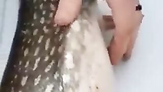 Karishma Allah Tala ka