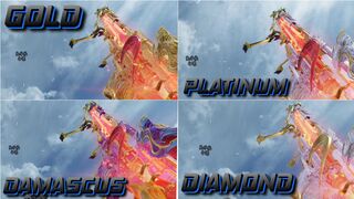 Mythic Dlq33 Inspection With All Camos