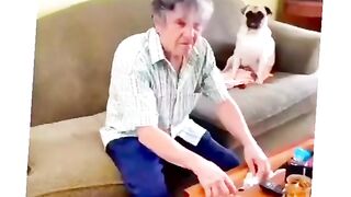 TikTok funny  viral febspot
