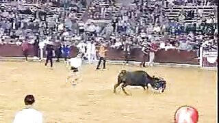 Bull in the Ring