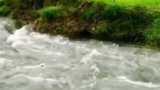 SUBHAN ALLAH