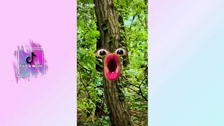 MAMAAAAABOY Tiktok Complication
