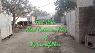 mery Nana G Ka Dera qadrabad village first