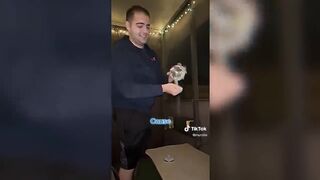 Funny Tik Toks That Made Me Go Crazy ????