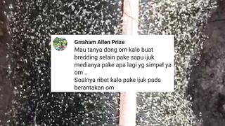 Selain IJUK Media apa lagi untuk KAKABAN yang simple, kuat, dan tahan lama❓