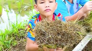 MASAK RUMPUT?