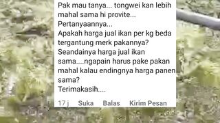 Pakan tongwei kan MAHAL❗kalau ada yang MURAH ngapain pilih yang MAHAL