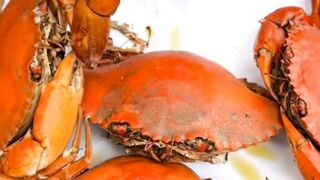 Makan isi kepiting sungguh-sungguh lezat tiada duanya