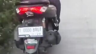 T 0000 BRUT