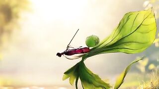 Sound Violin