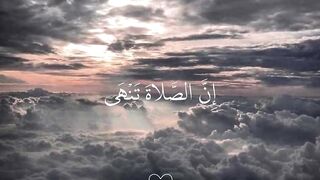 فيديوهات