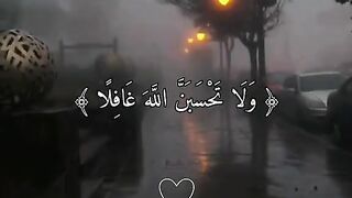 فيديوهاتفيديوهات