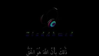 فيديوهاتفيديوهات