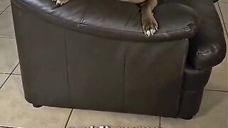 your face makes me laugh