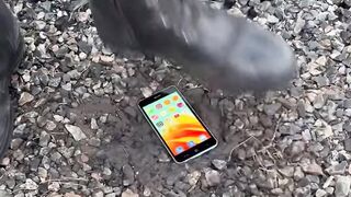 Безжалостно раздавил телефон! ????????