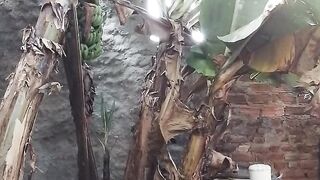 vamo comer um feijãozin