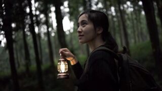 Lost in the Forest