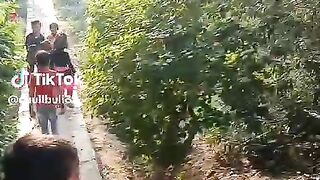 بچوں کا کھیل شروع